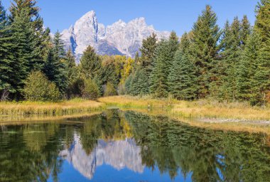 Grand Teton Ulusal Parkı Wyoming 'de sonbaharda güzel bir yansıma manzarası.