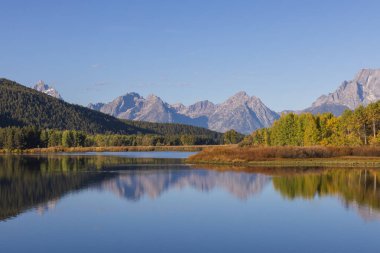 Grand Teton Ulusal Parkı Wyoming 'de sonbaharda güzel bir yansıma manzarası.
