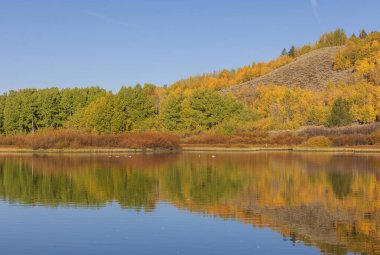 Grand Teton Ulusal Parkı Wyoming 'de sonbaharda güzel bir yansıma manzarası.