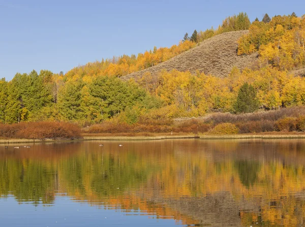 Piękny Krajobraz Refleksji Parku Narodowym Grand Teton Wyoming Jesienią — Zdjęcie stockowe