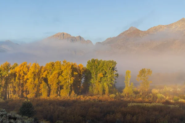 Grand Teton Ulusal Parkı Wyoming Manzaralı Bir Sonbahar Manzarası — Stok fotoğraf