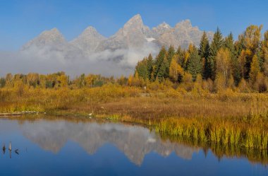 Auutmn 'da Tetons' da manzaralı bir yansıma manzarası