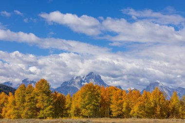 Grand Teton Ulusal Parkı Wyoming 'de sonbaharda güzel bir manzara.