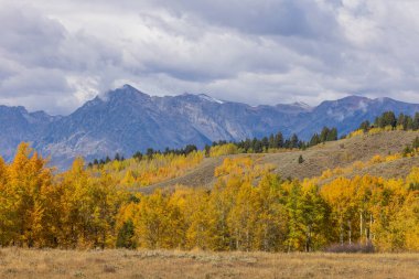 Grand Teton Ulusal Parkı Wyoming 'de sonbaharda güzel bir manzara.