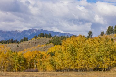 Grand Teton Ulusal Parkı Wyoming 'de sonbaharda güzel bir manzara.