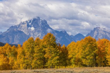 Grand Teton Ulusal Parkı Wyoming 'de sonbaharda güzel bir manzara.