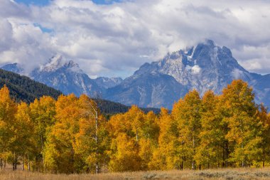 Grand Teton Ulusal Parkı Wyoming 'de sonbaharda güzel bir manzara.