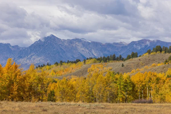 Beautiful Landscape Grand Teton National Park Wyoming Autumn Stock Image
