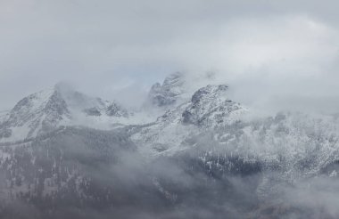 Sonbaharda Grand Teton Ulusal Parkı 'ndaki Teton Sıradağları' nı bulutlar örtüyor.