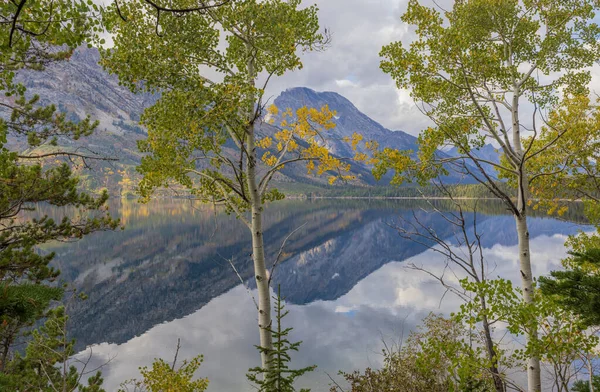 ジェニー湖のテトン山脈を風光明媚に映した秋の風景 — ストック写真