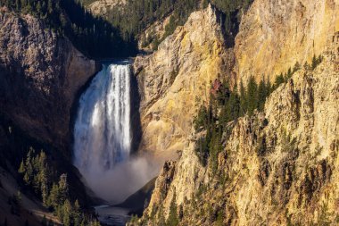 Yellowstone Falls Manzarası Wyoming Ulusal Parkı