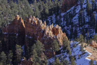 Bryce Canyon Ulusal Parkı Utah 'ta manzaralı bir kış manzarası