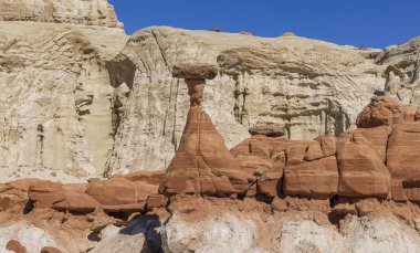 Utah 'taki Grand Staircase-Escalante Ulusal Anıtı' ndaki zehirli mantarlar.