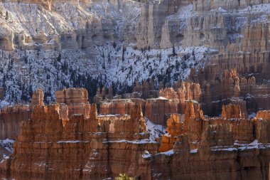 Bryce Canyon Ulusal Parkı Utah 'ta manzaralı bir kış manzarası