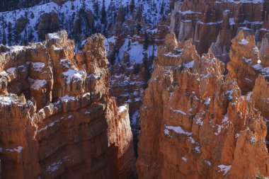 Bryce Canyon Ulusal Parkı 'nda kışın manzaralı bir manzara.