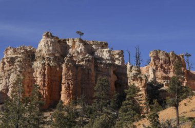 Bryce Kanyonu, Utah Ulusal Parkı 'nda manzaralı bir manzara.