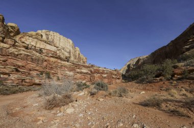 Capitol Resifi Ulusal Parkı Utah Manzarası
