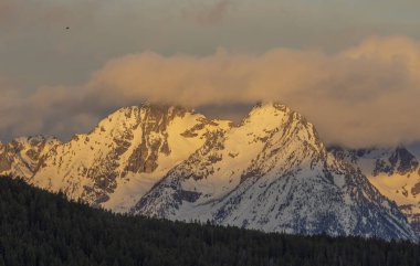 Grand Teton Ulusal Parkı Wyoming 'de manzaralı bir kış manzarası.