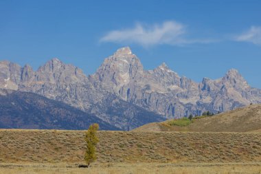 Grand Teton Ulusal Parkı Wyoming 'de manzaralı bir sonbahar manzarası.