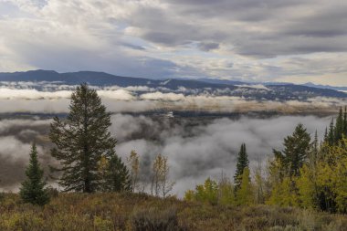 Grand Teton Ulusal Parkı Wyoming 'de sisli bir sonbahar manzarası