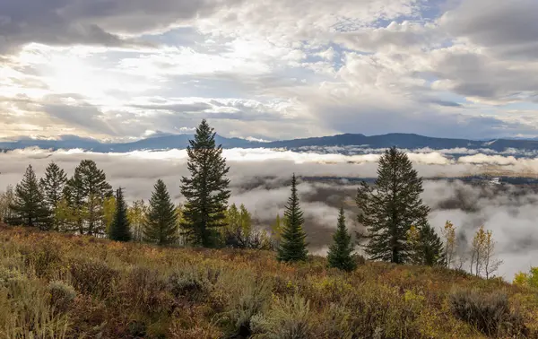 Grand Teton Ulusal Parkı Wyoming 'de sisli bir sonbahar manzarası