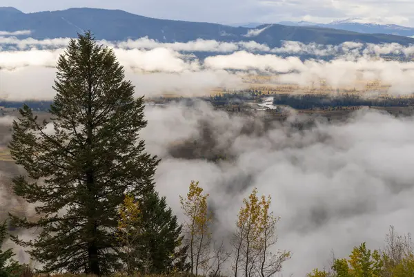 Ένα Ομιχλώδες Τοπίο Φθινόπωρο Στο Grand Teton Εθνικό Πάρκο Wyoming Royalty Free Εικόνες Αρχείου