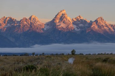Grand Teton Ulusal Parkı Wyoming 'de manzaralı bir sonbahar manzarası.