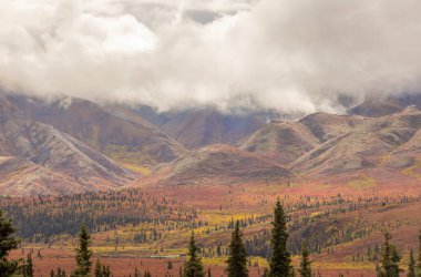 Sonbaharda Denali Ulusal Parkı Alaska 'da manzaralı bir manzara