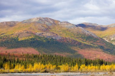 Sonbaharda Denali Ulusal Parkı Alaska 'da manzaralı bir manzara