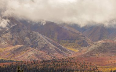 Sonbaharda Denali Ulusal Parkı Alaska 'da manzaralı bir manzara