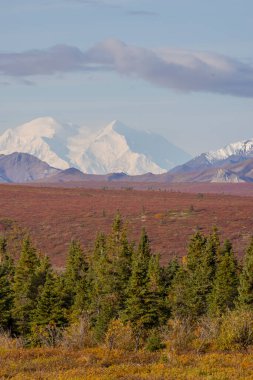 Denali Ulusal Parkı Alaska 'da manzaralı bir sonbahar manzarası