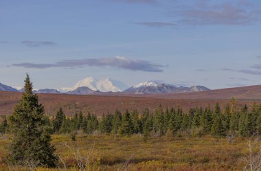 Denali Ulusal Parkı Alaska 'da manzaralı bir sonbahar manzarası