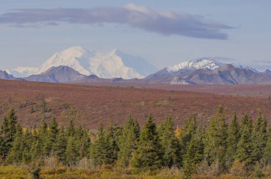 Denali Ulusal Parkı Alaska 'da manzaralı bir sonbahar manzarası