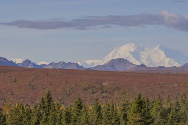 Denali Ulusal Parkı Alaska 'da manzaralı bir sonbahar manzarası
