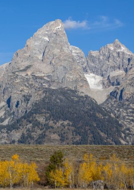 Grand Teton Ulusal Parkı Wyoming 'de manzaralı bir sonbahar manzarası.
