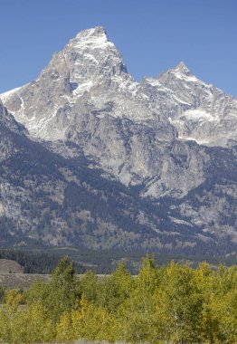 Grand Teton Ulusal Parkı Wyoming 'de manzaralı bir sonbahar manzarası.