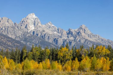 Grand Teton Ulusal Parkı Wyoming 'de manzaralı bir sonbahar manzarası.
