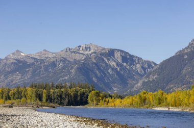 Grand Teton Ulusal Parkı Wyoming 'de manzaralı bir sonbahar manzarası.