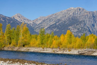 Grand Teton Ulusal Parkı Wyoming 'de manzaralı bir sonbahar manzarası.
