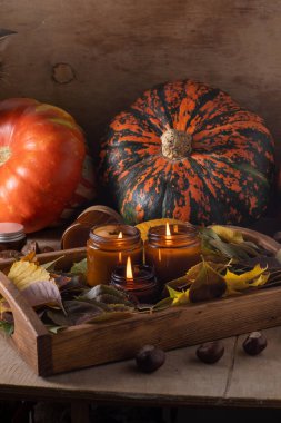 Soya mumları cam kavanozlarda yanar. Ağaç yaprakları, balkabağım. Evdeki rahatlık. Kahverengi kavanozdaki mum. Koku ve ışık. Kokulu el yapımı mum. Aroma terapisi. Sonbahar havası. Sonbaharda rahat ev dekorasyonu.