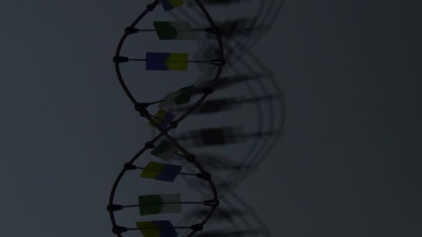 Sculpture Dna Molecule Spins Casts Shadow Video Dark Deoxyribonucleic Acid — Stock Video