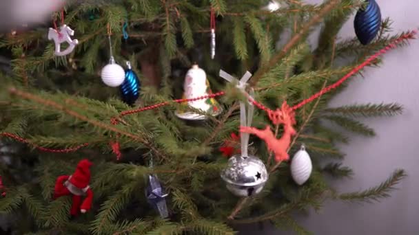 家でクリスマスツリー 装飾品だ 緑の針葉樹の枝が閉じています おもちゃやボールでクリスマスツリーを飾る 大晦日だ 家庭生活 シンプルな雑貨のおもちゃ 手はおもちゃを掛けます — ストック動画