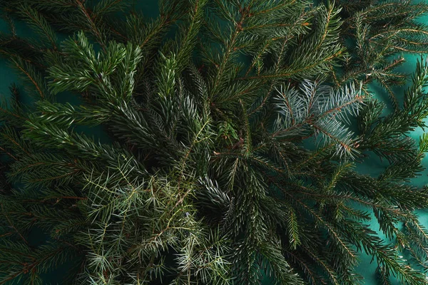 Christmas Tree Nature Green Background Pine Branches Needles Top View — Stock Photo, Image