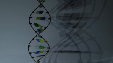 DNA molekülünün heykeli döner ve bir gölge bırakır. Karanlıktaki video. Deoksiribonükleik asit düzeni. Gen. Çokgen kablo DNA sarmalı.