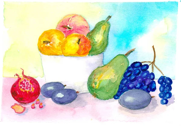 과일을 수채화하여 위에는 포도와 석류가 있으며 손으로 손으로 — 스톡 사진