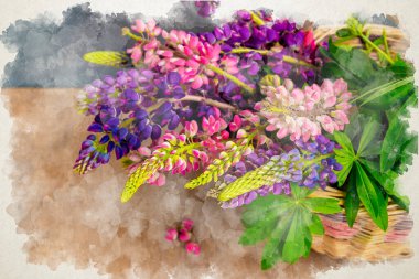 Bouquet of summer flowers watercolor illustration. Multicolored lupins. Floral background. Lupine flower digital drawing. Petal botanical plant. clipart