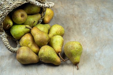 Pears in basket on a wooden background. Fruit harvest. Autumn still life. Pear variety Bera Conference. Vitamin food. clipart