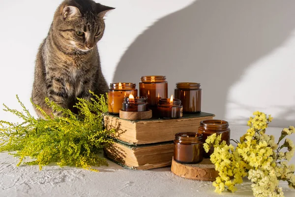 A set of different aroma candles in brown glass jars. Scented handmade candle. Soy candles are burning in a jar. Aromatherapy and relax. Fire in brown jar. Yellow flowers cat at home. Cat