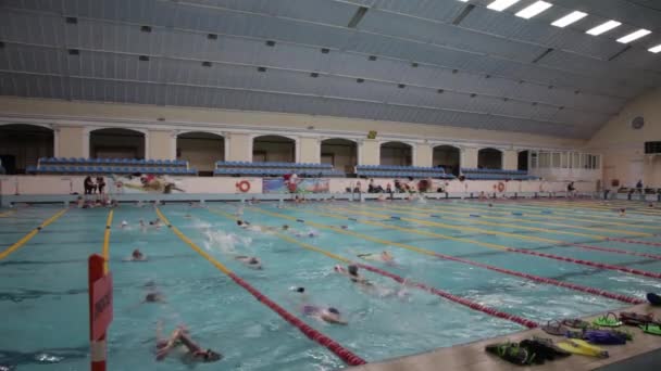 Large Swimming Pool Lots People Swim Paths Children Sports Boys — Stockvideo
