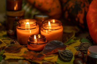 Soya mumları cam kavanozlarda yanar. Ağaç yaprakları, balkabağım. Evdeki rahatlık. Kahverengi kavanozdaki mum. Koku ve ışık. Kokulu el yapımı mum. Aroma terapisi. Sonbahar havası. Sonbaharda rahat ev dekorasyonu.